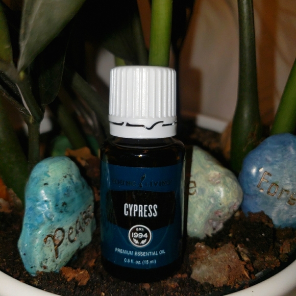 Young Living Cypress Oil 15ml - Picture 1 of 1